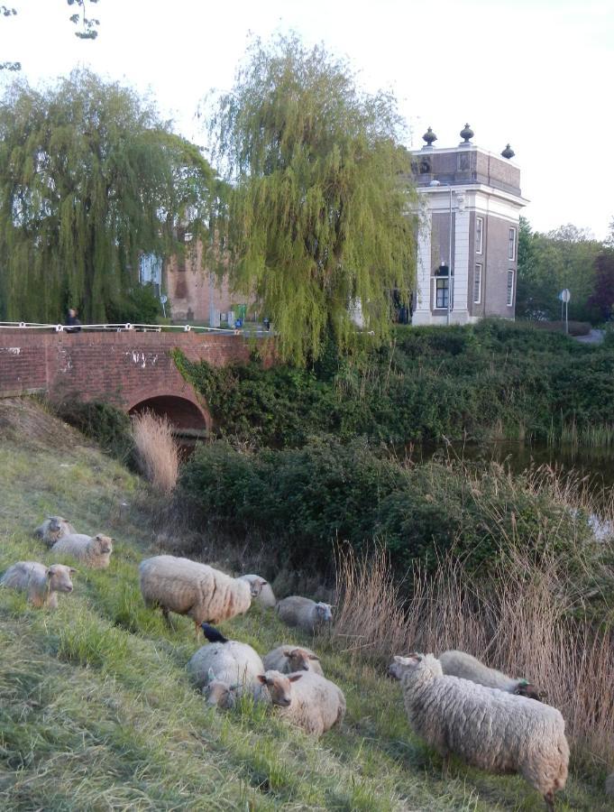 Logies De Zeeuwse Klei, Een Gezellig Jaren 30 Huis Middelburg Exterior photo